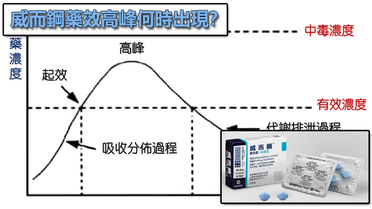 威而鋼藥效高峰何時出現？掌握服藥後 60 至 90 分鐘的硬度巔峰