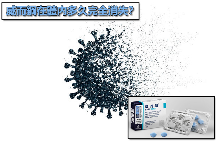 威而鋼在體內多久完全消失？深度探討 24 小時的淨化時程 🚽