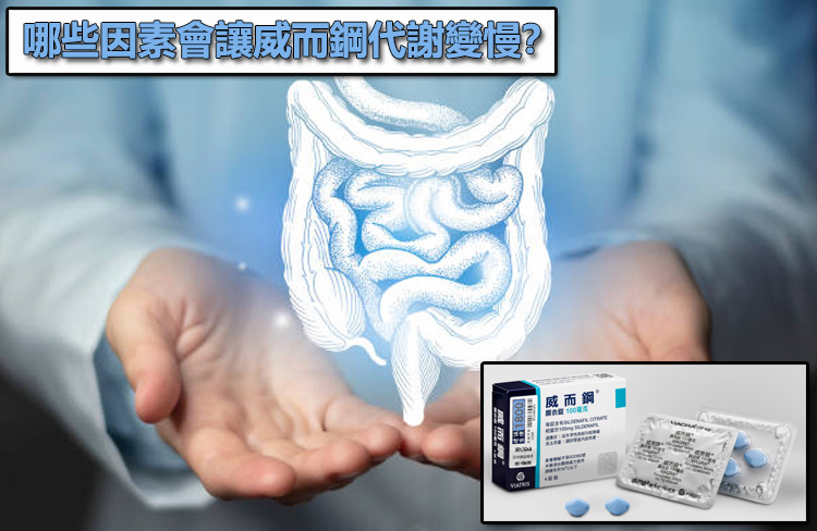 哪些因素會讓威而鋼代謝變慢？解析體質與飲食如何拖慢排空速度 ⚠️
